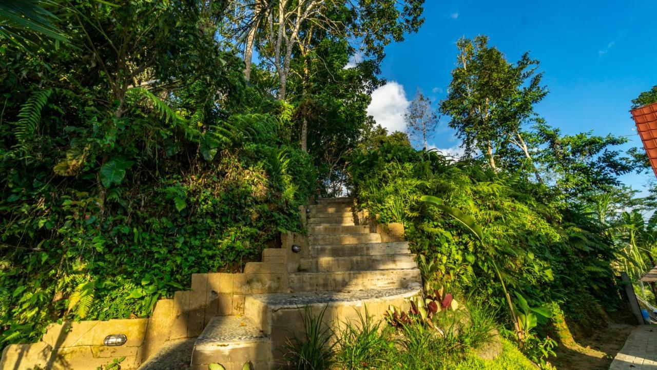 Anja Villas Ubud Tegallalang  Eksteriør bilde